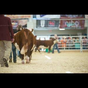 Meet your Posher, Jeffrey cash